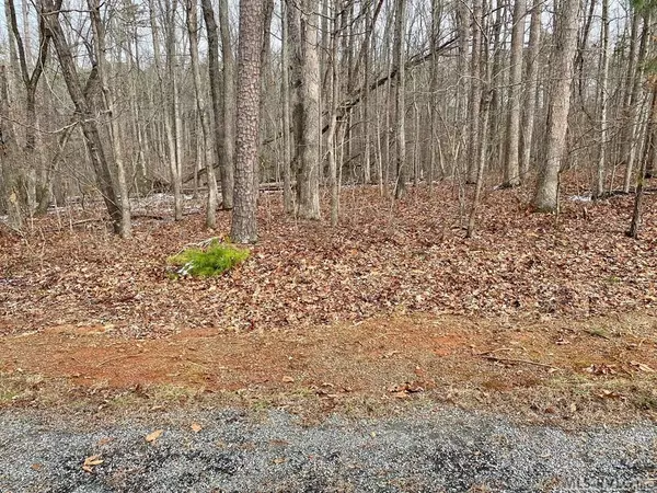 Lot 48 Large Mouth Lane, Clarksville, VA 23927