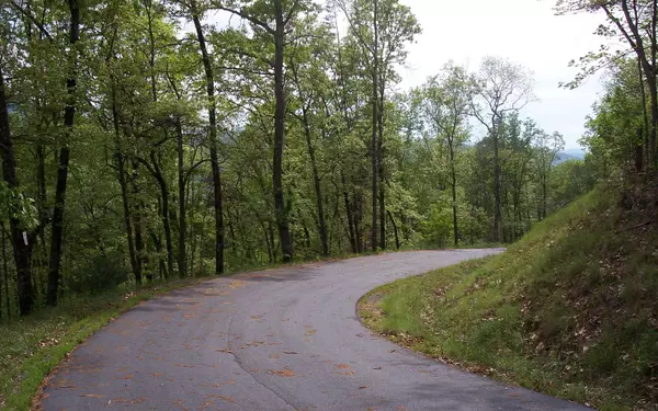 Hayesville, NC 28904,26 Coyote Cove