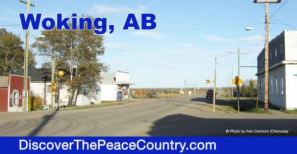 Woking, AB T0H 3V0,5004 49 AVE