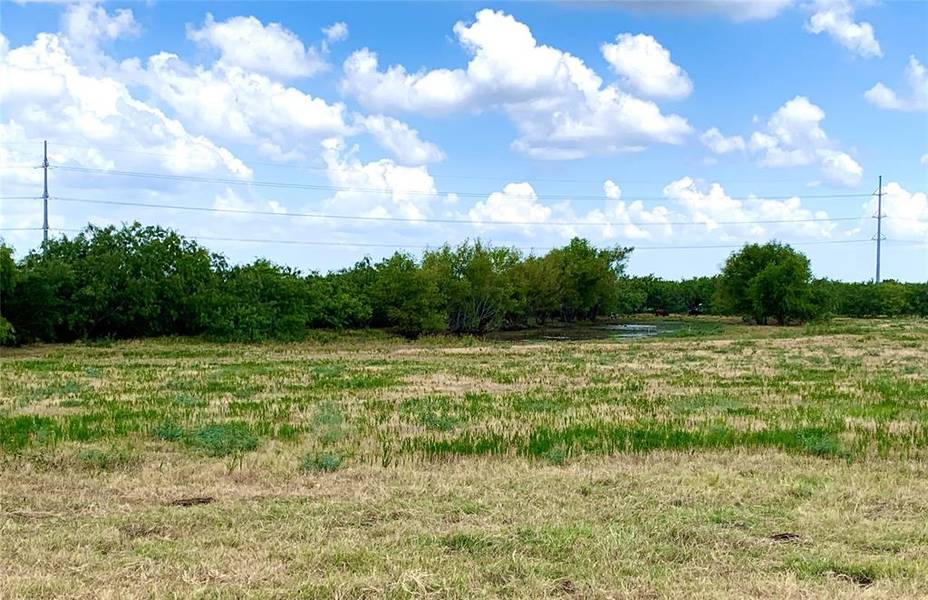 TBD Quail Lane, Terrell, TX 75160