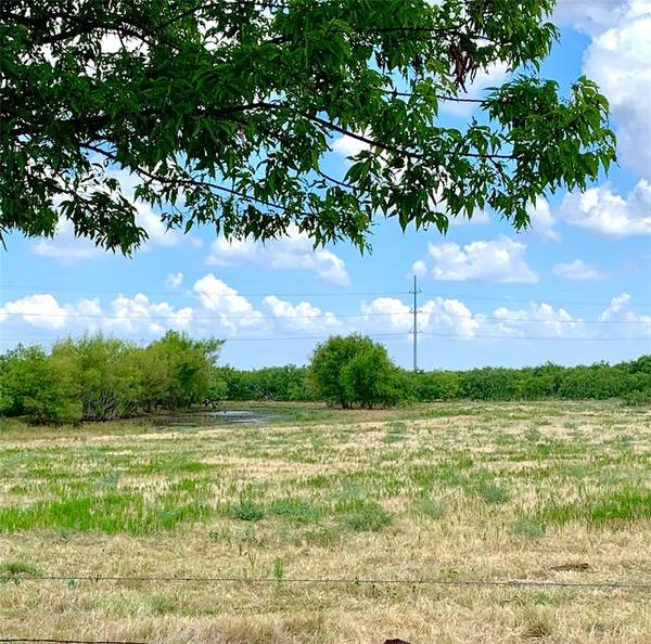 Terrell, TX 75160,TBD Quail Lane