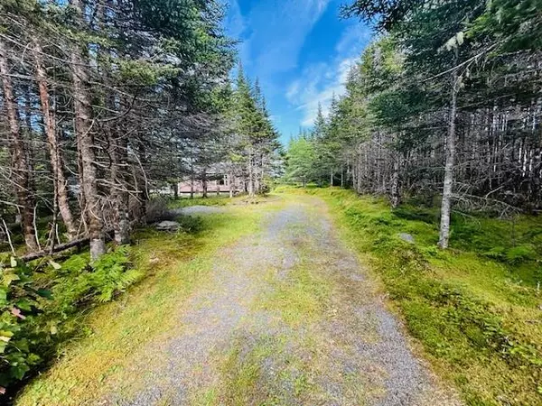 Salmonier Line, NL A0A 2R0,121 Pioneer Line