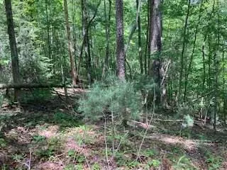 LOT 3760 Graham Court, Ellijay, GA 30540