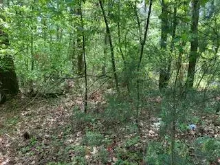 Ellijay, GA 30540,LOT 3760 Graham Court