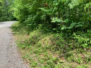 Ellijay, GA 30540,LOT 3760 Graham Court