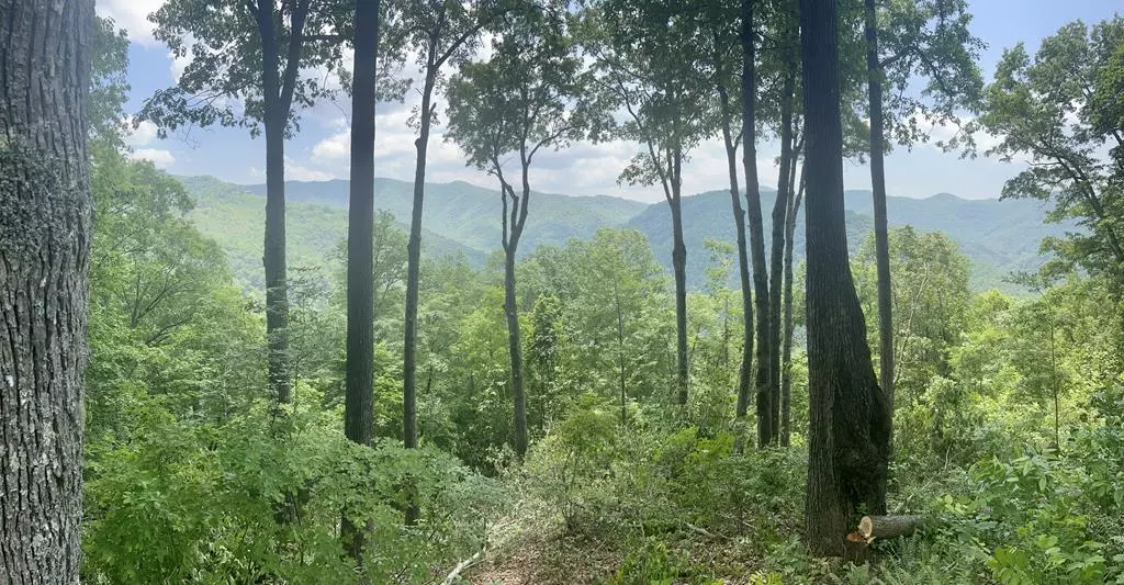 Lot 13 High Springs Drive, Bryson City, NC 28713