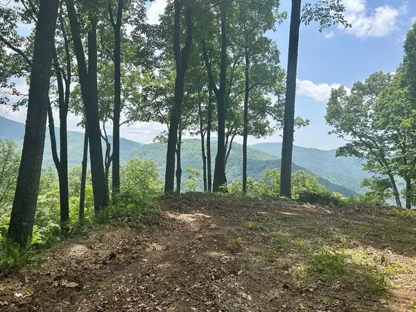 Bryson City, NC 28713,Lot 13 High Springs Drive