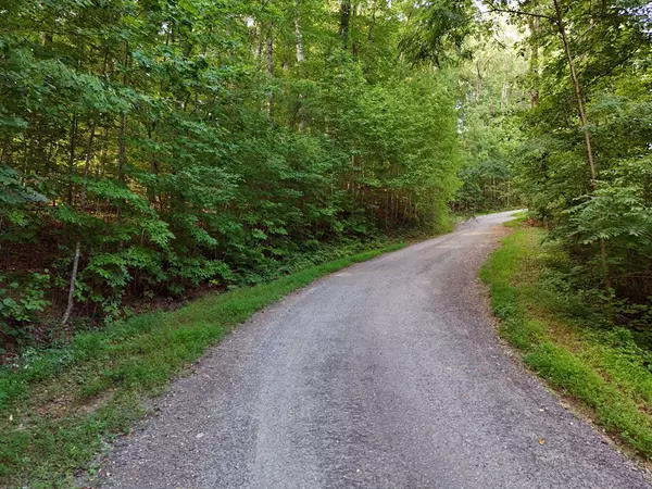 Hiawassee, GA 30546,Lot 21 Sutton Cove