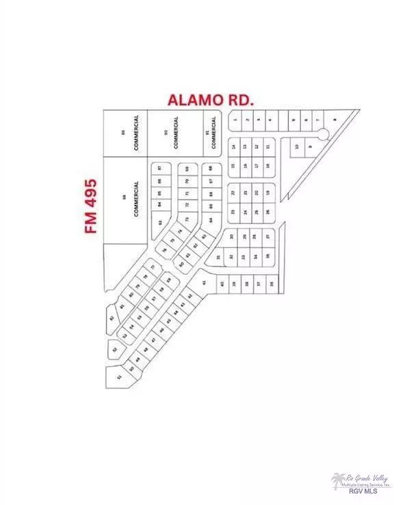 Alamo, TX 78589,909 VALLE VISTA ST