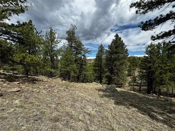 Florissant, CO 80816,57 Terrace LN