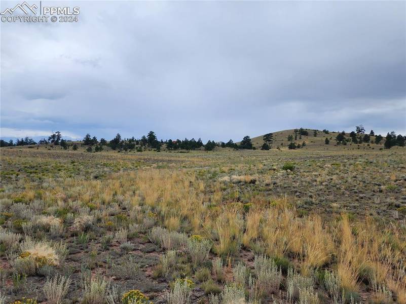 547 Thrush LN, Hartsel, CO 80449