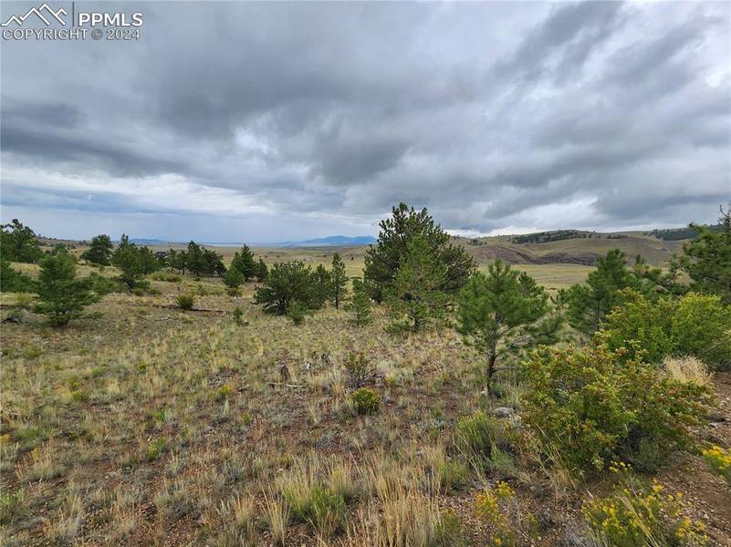 261 Thrush LN, Hartsel, CO 80449