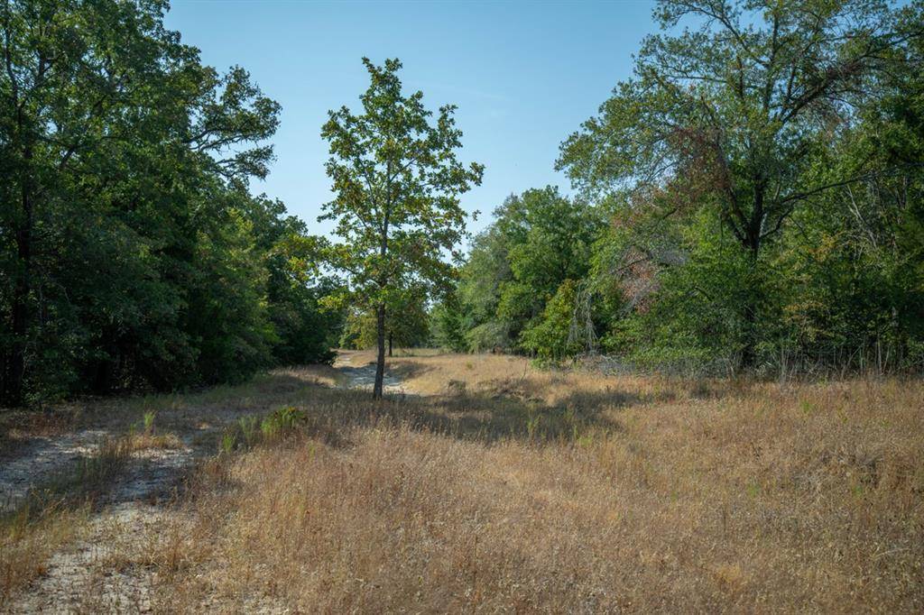 Calvert, TX 77837,TBD S Tidwell Prairie Road