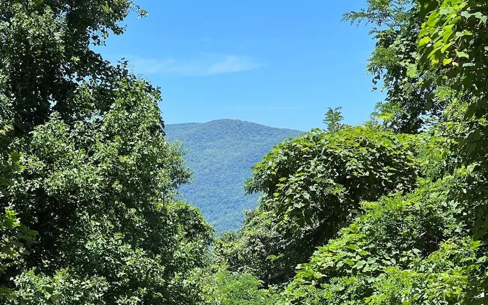 101+ Ac Lori's Mountain, Hayesville, NC 28904