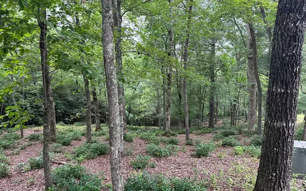 Brasstown, NC 28909,Lot 21 Cricket Lane