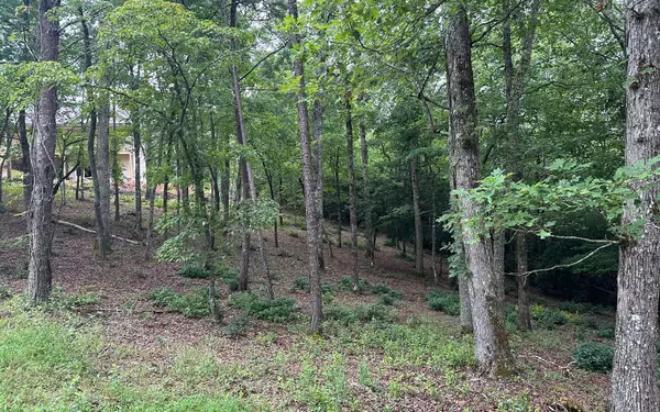 Brasstown, NC 28909,Lot 21 Cricket Lane