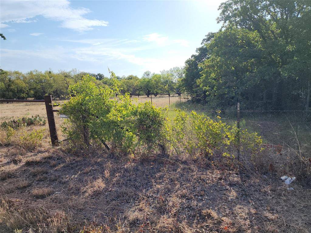 Ranger, TX 76470,TBD County Road 125 Road