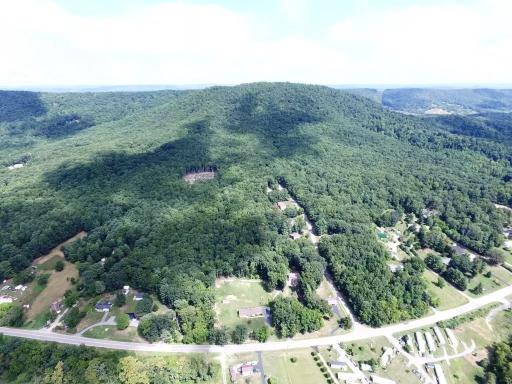 Max Meadows, VA 24360,92 ac Shady Forest Rd