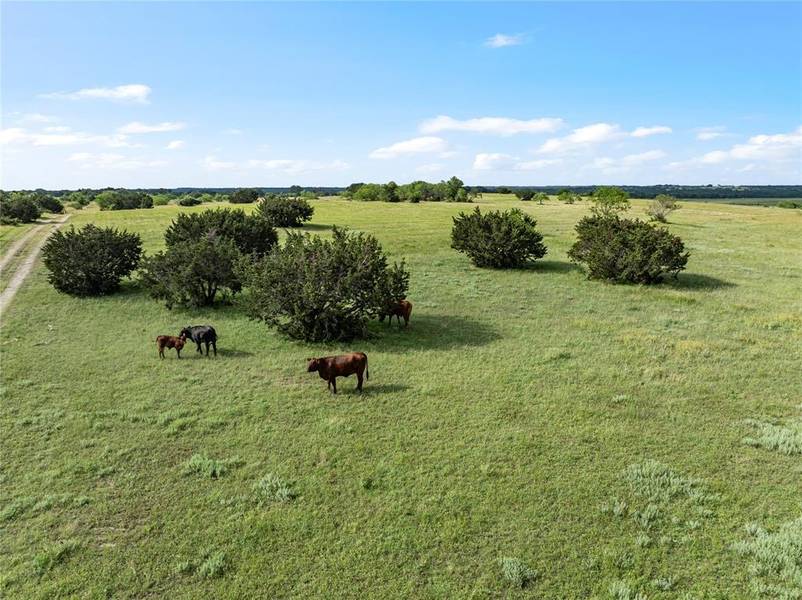 122 County Road 3512, Valley Mills, TX 76689