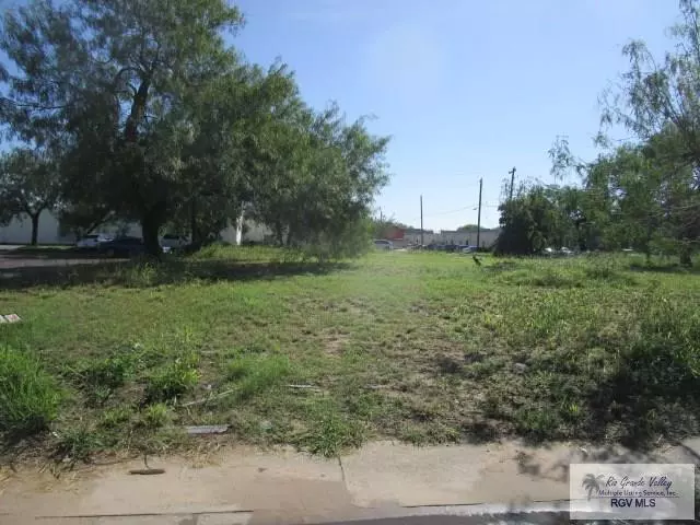 Weslaco, TX 78596,811 S BRIDGE AVE