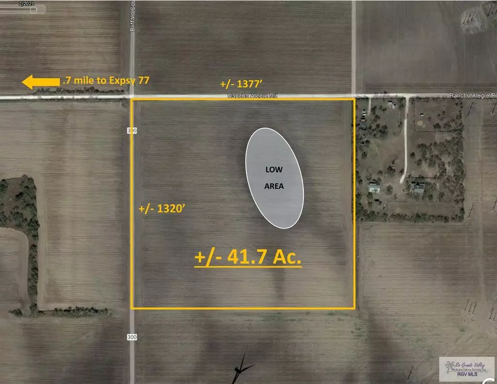 Sebastian, TX 78594,41.7 Ac. E RANCHO ALEGRE RD.