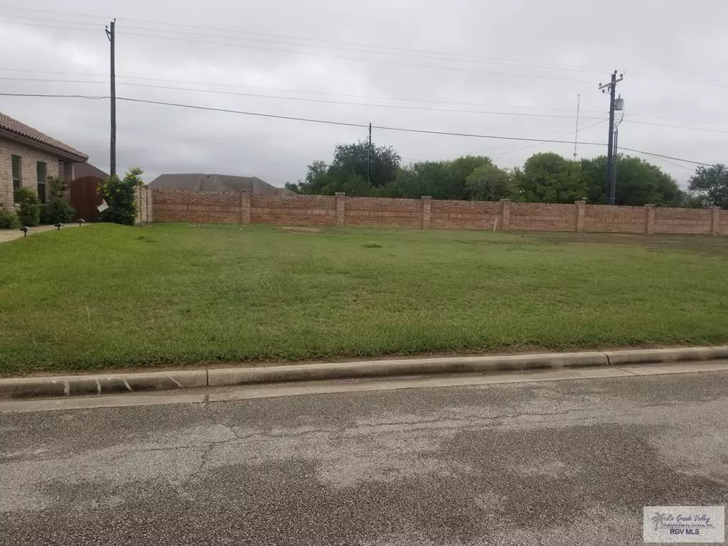 Harlingen, TX 78552,000 Lot 17 FAIRWAY LN.