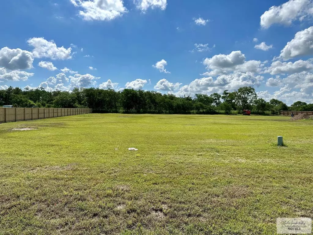 Los Fresnos, TX 78566,Lot 4 LOS JARDINES DR