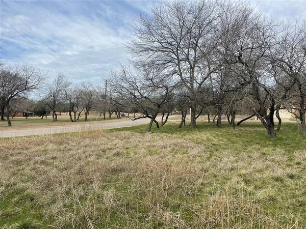 Whitney, TX 76692,27081 Meadowmore Drive