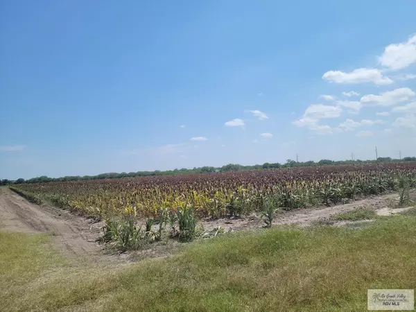 Rio Hondo, TX 78583,94.23 AC FERNANDO EAST RD.