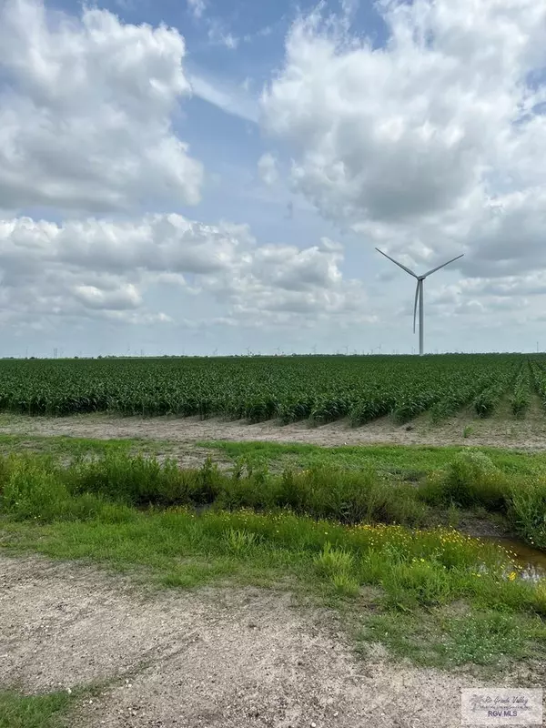 Raymondville, TX 78580,40 ACRES FM 1762