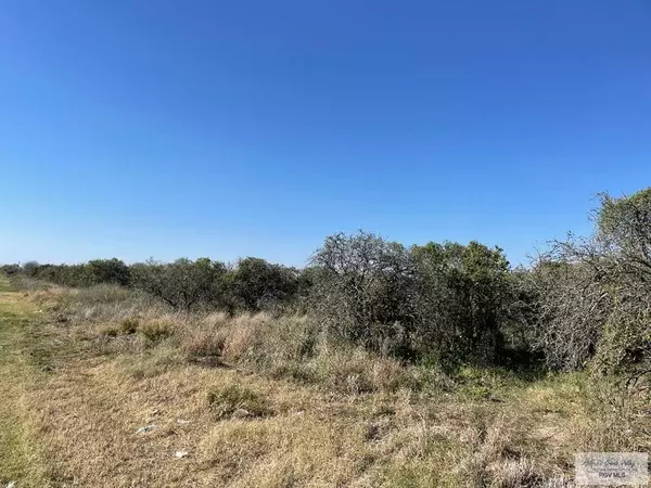 Edinburg, TX 78542,25 ACRES DAVIS RD