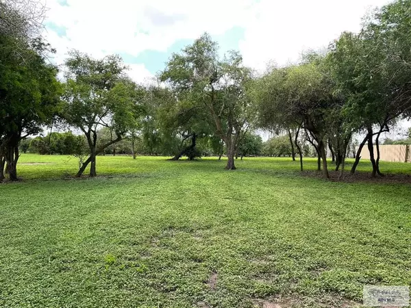 Bayview, TX 78566,1.8 Acres MOCKINGBIRD LN