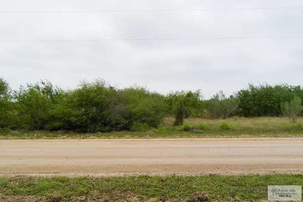 Bayview, TX 78566,0 N SAN ROMAN