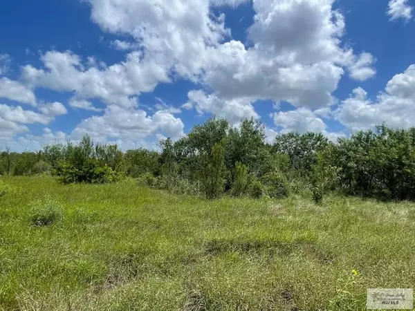 Los Fresnos, TX 78566,23.17 Acres FM 3069