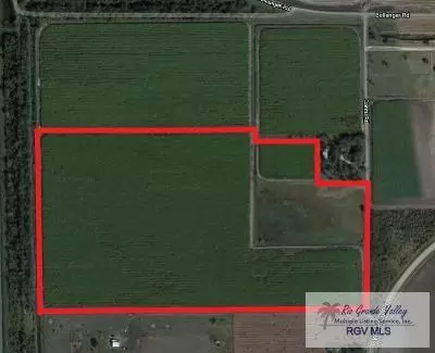 Santa Rosa, TX 78593,54.48 AC W CANTU RD.