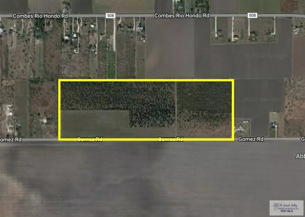 Rio Hondo, TX 78583,58.2 AC GOMEZ RD