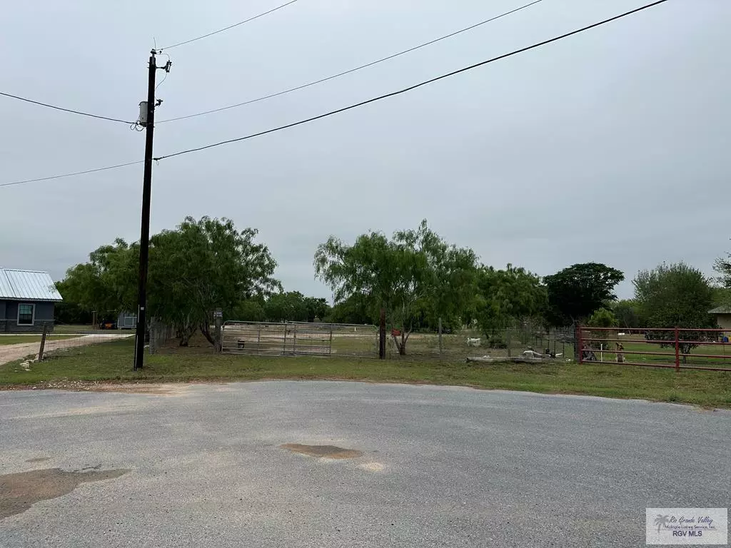 Edcouch, TX 78538,00 CALLE DE PITA