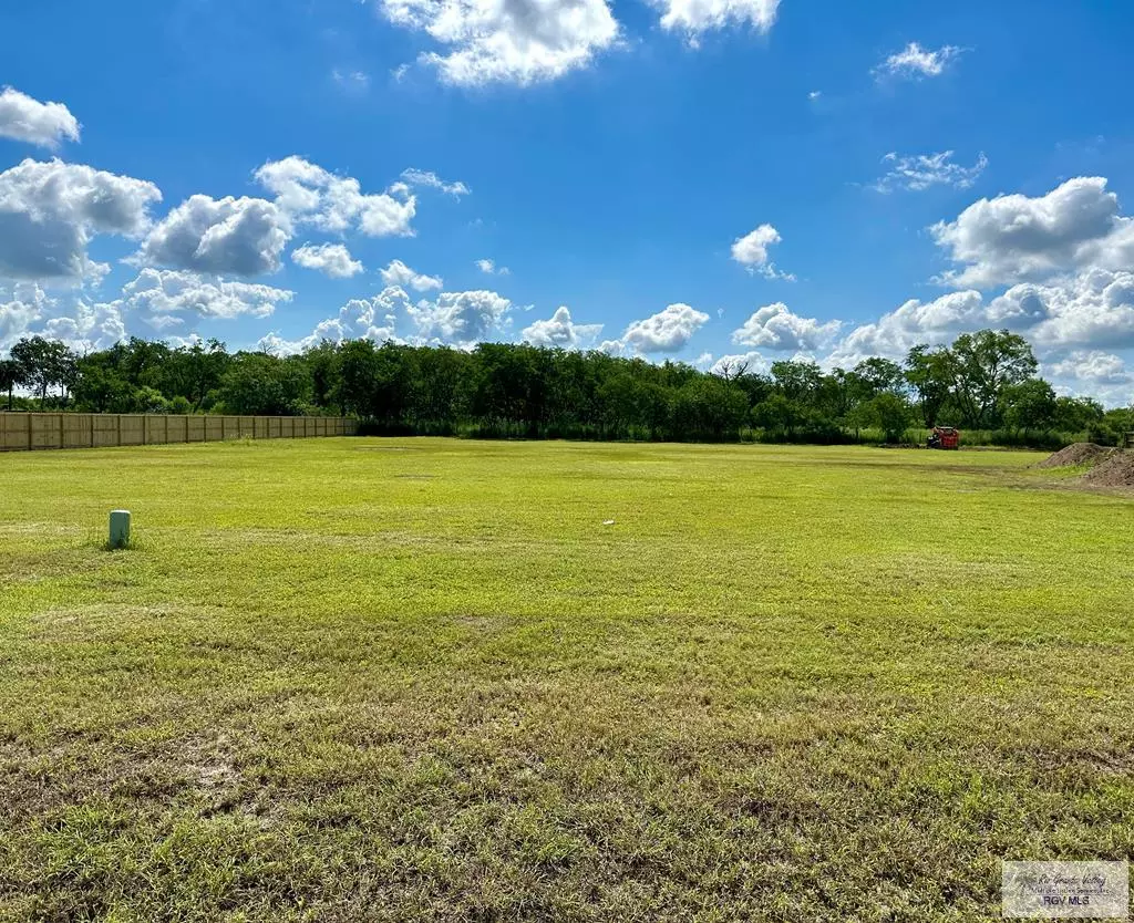 Los Fresnos, TX 78566,Lot 5 LOS JARDINES DR