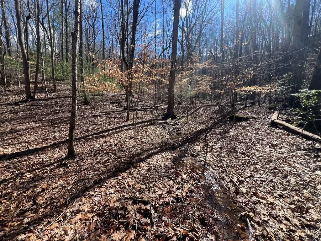 Murphy, NC 28906,Lot 9 Mountain Drive