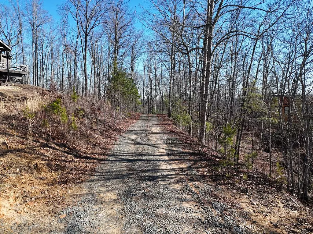 Blue Ridge, GA 30513,LT 29,28 Left Turn Lane