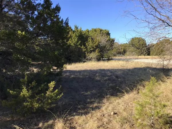 Whitney, TX 76692,43093 Indian Blanket Drive