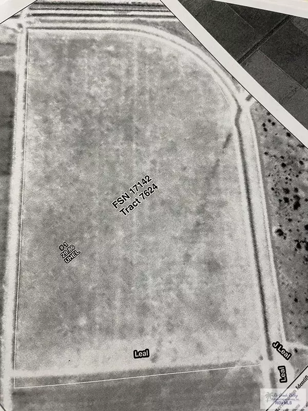 San Benito, TX 78586,31.68 acres J. LEAL RD