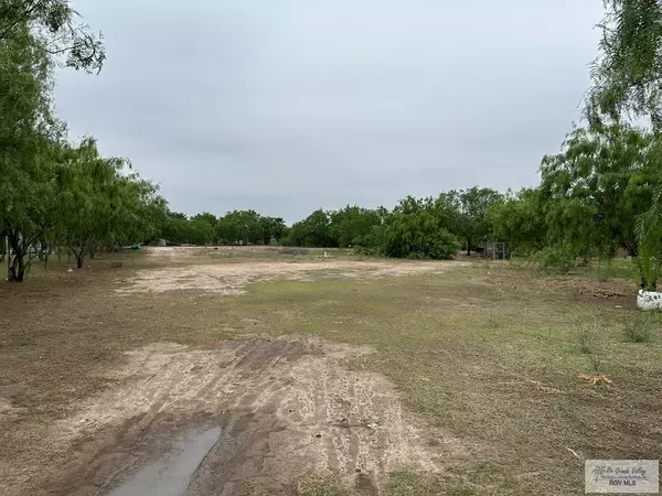 Edcouch, TX 78538,00 CALLE DE PITA