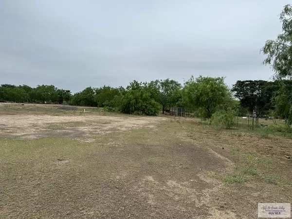 Edcouch, TX 78538,00 CALLE DE PITA