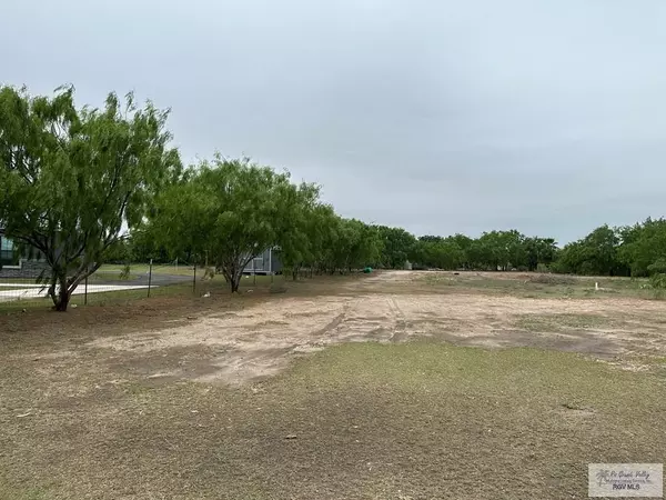 Edcouch, TX 78538,00 CALLE DE PITA