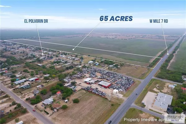 Penitas, TX 78576,00 MILE 7