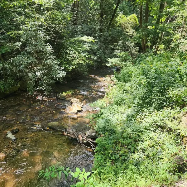 Cherry Log, GA 30522,861 Little Rock Creek