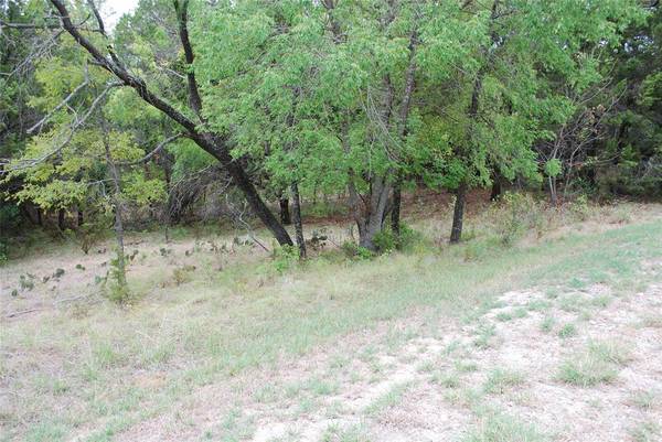 21031 Trailwood Drive, Whitney, TX 76692