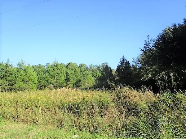 Holly Hill, SC 29059,3.5 Acre Hwy 453