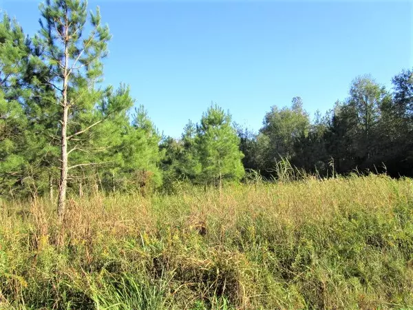 Holly Hill, SC 29059,3.5 Acre Hwy 453